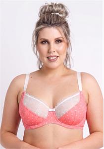 Pack of 2 Everyday Balcony Polka Dots Underwired Bra